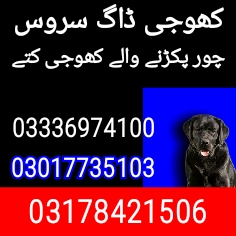 Army dog center pakistan 03017735103