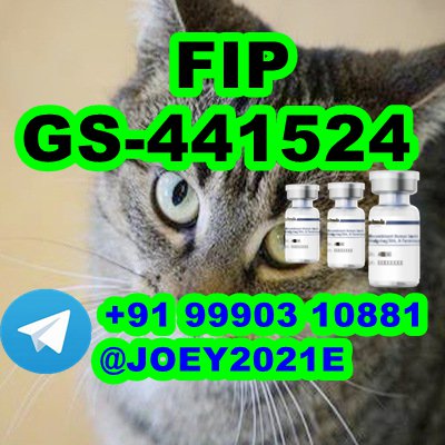 GS-441524 cat Fip Feline Infectious Peritonitis