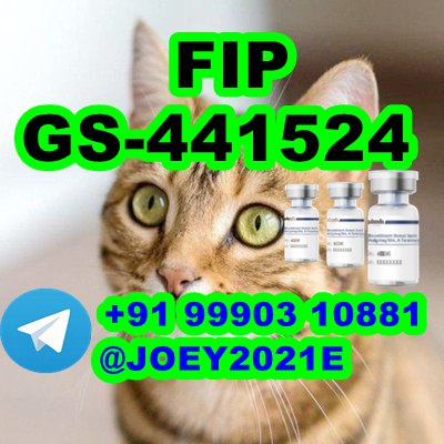 GS-441524 cat Fip Feline Infectious Peritonitis