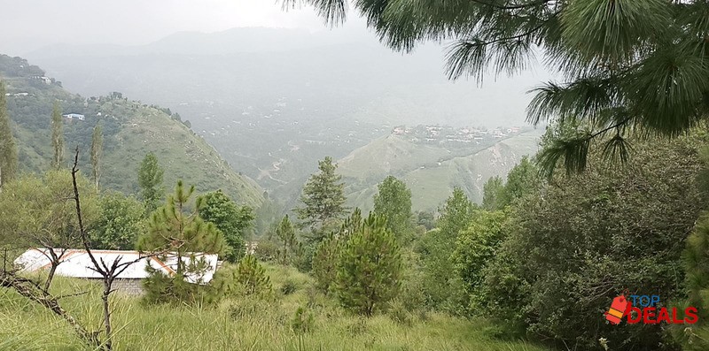 Cheapest Plots For Sale In Muree Near Gloria Jean's limited plots avai