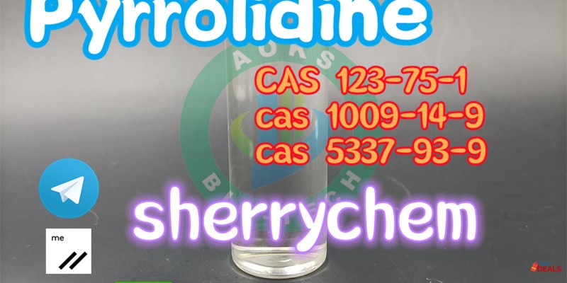 Manufacturer Supply CAS 123-75-1 Pyrrolidine with Stock 