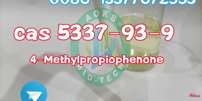 Factory Supply 4-Methylpropiophenone CAS 5337-93-9 with Best Price 