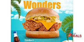 The Sauce Burger Cafe Summer Wonder! Combo 1 For Rs.480 