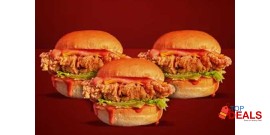 ON THE GRILL Exclusive Deal 4 For Rs.1299/- 